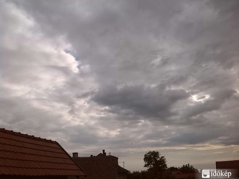 Tiszaszőlős