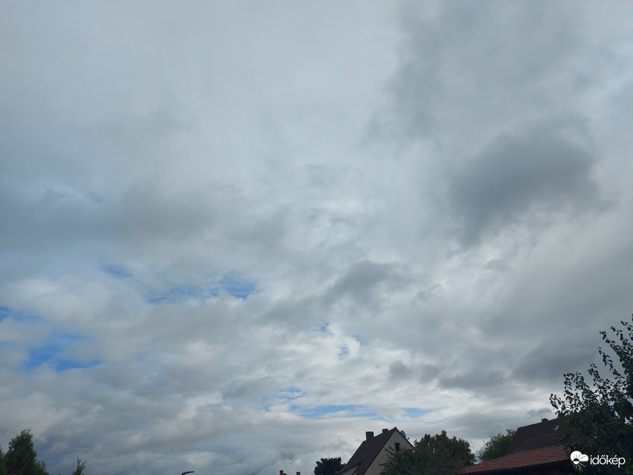 Waldzell
