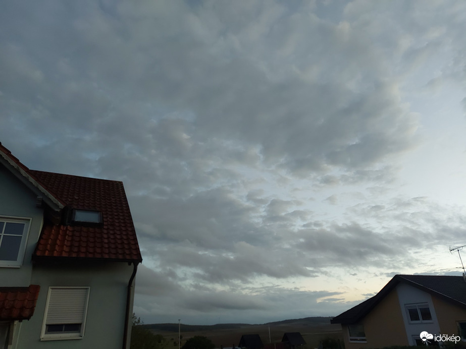 Waldzell