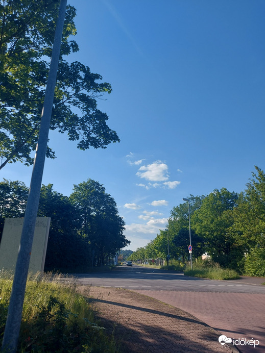 Wombach