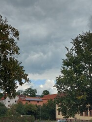 Waldzell