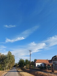 Tiszaszőlős