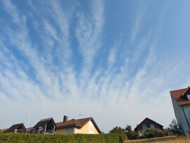Waldzell