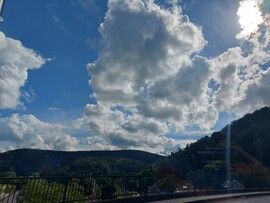 Langenprozelten