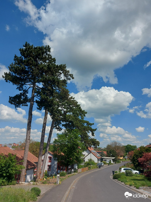 Waldzell