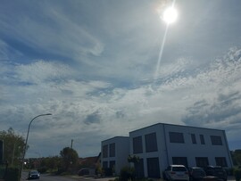 Waldzell