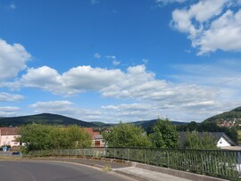 Langenprozelten