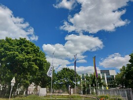 Wombach
