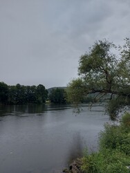 Langenprozelten