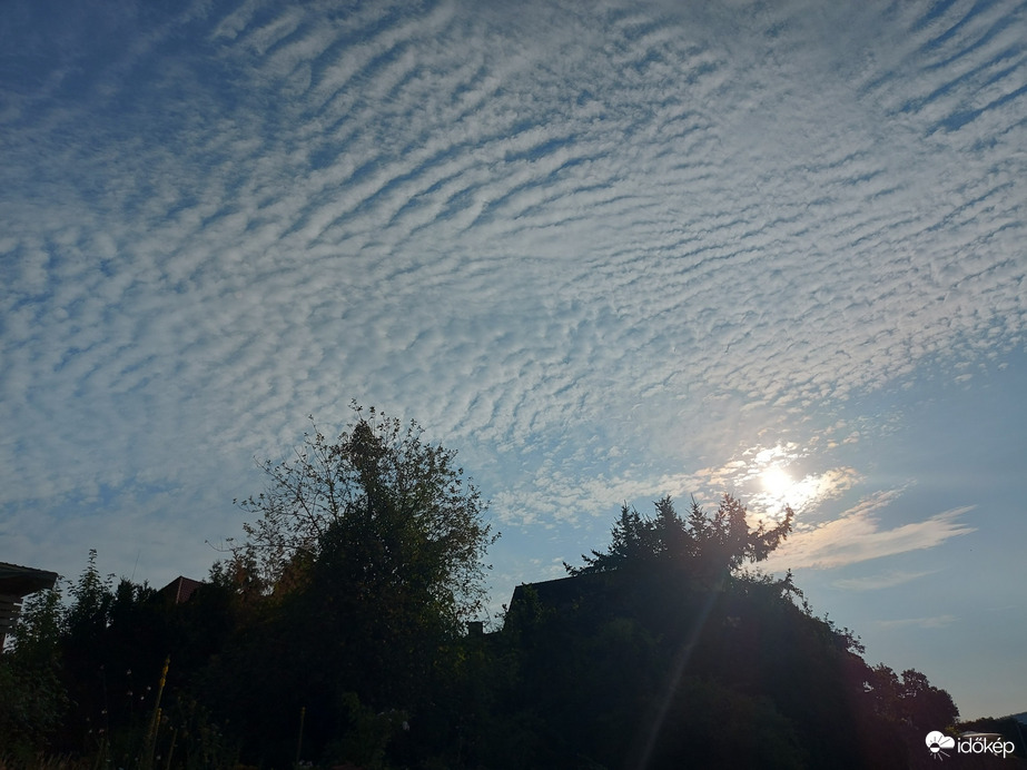 Langenprozelten