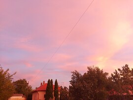 Tiszaszőlős