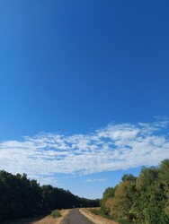 Tiszaszőlős