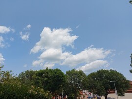 Tiszafüred