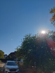 Waldzell