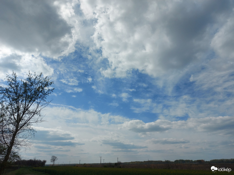 Tiszaszőlős