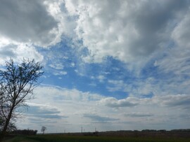 Tiszaszőlős