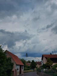 Waldzell