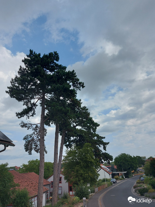 Waldzell