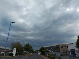 Wombach