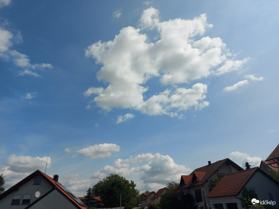 Waldzell