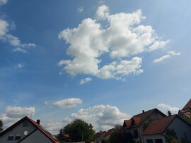 Waldzell