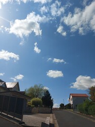 Waldzell