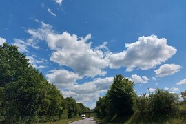 Langenprozelten