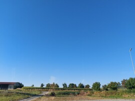 Waldzell