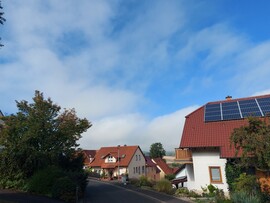 Waldzell
