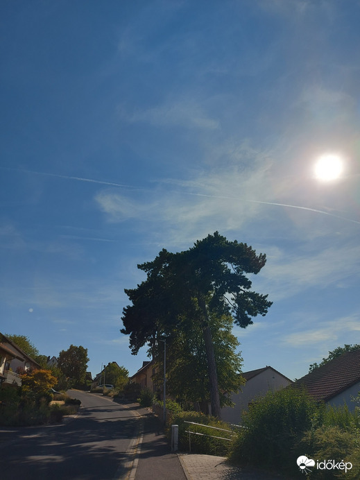 Waldzell
