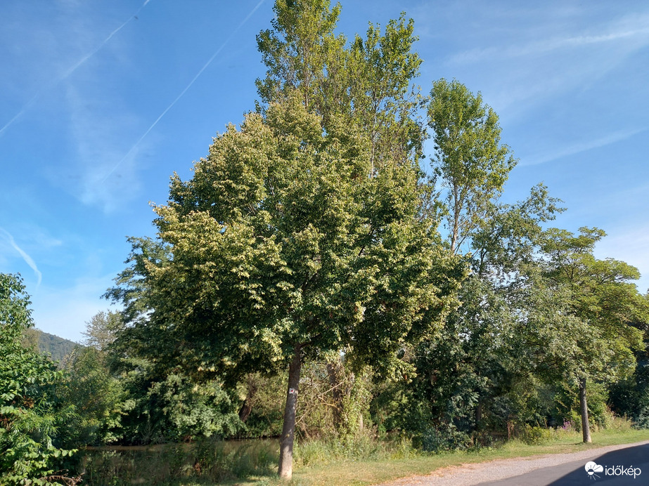Gemünden am Main