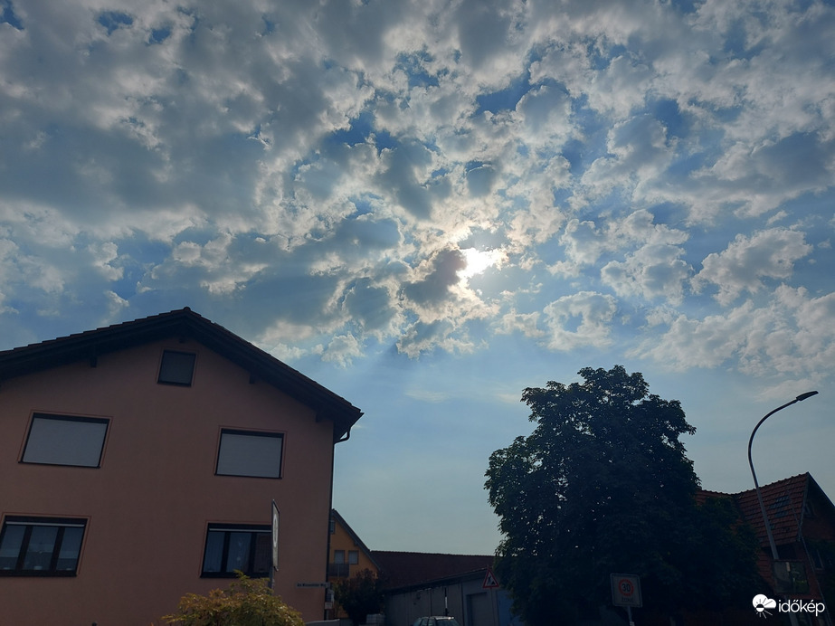 Waldzell