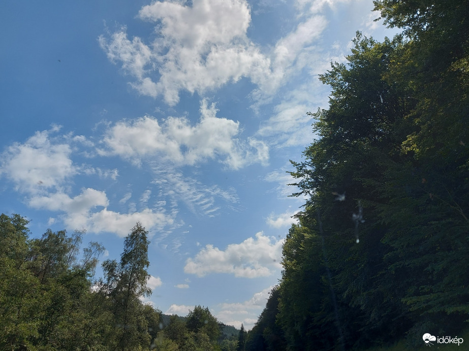 Langenprozelten
