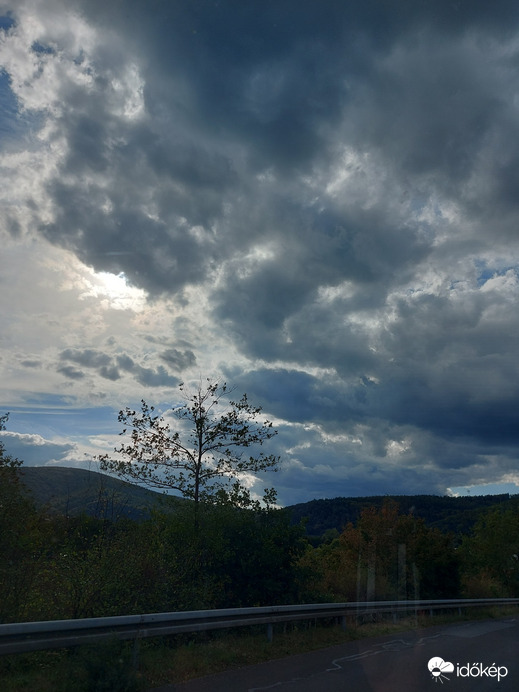 Langenprozelten