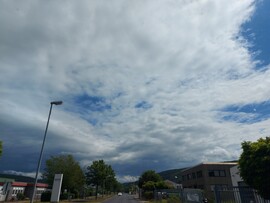 Wombach