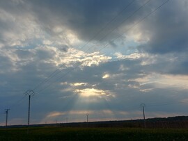 Tiszaszőlős