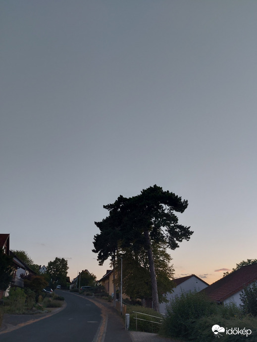 Waldzell