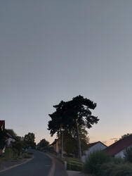 Waldzell