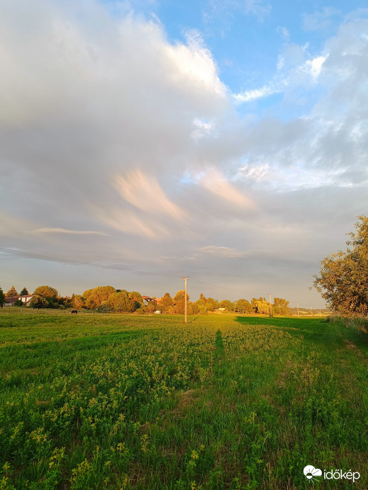 Sárisáp