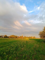 Sárisáp