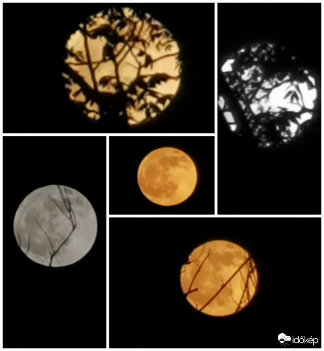 Tegnap esti telihold