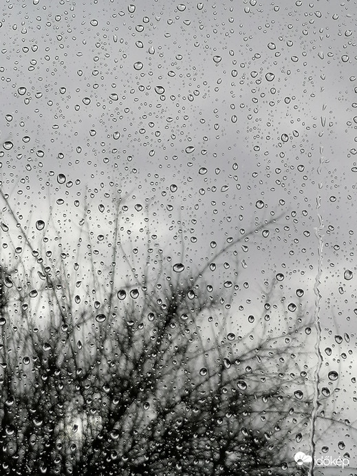 Esőcseppek bentről nézve...
