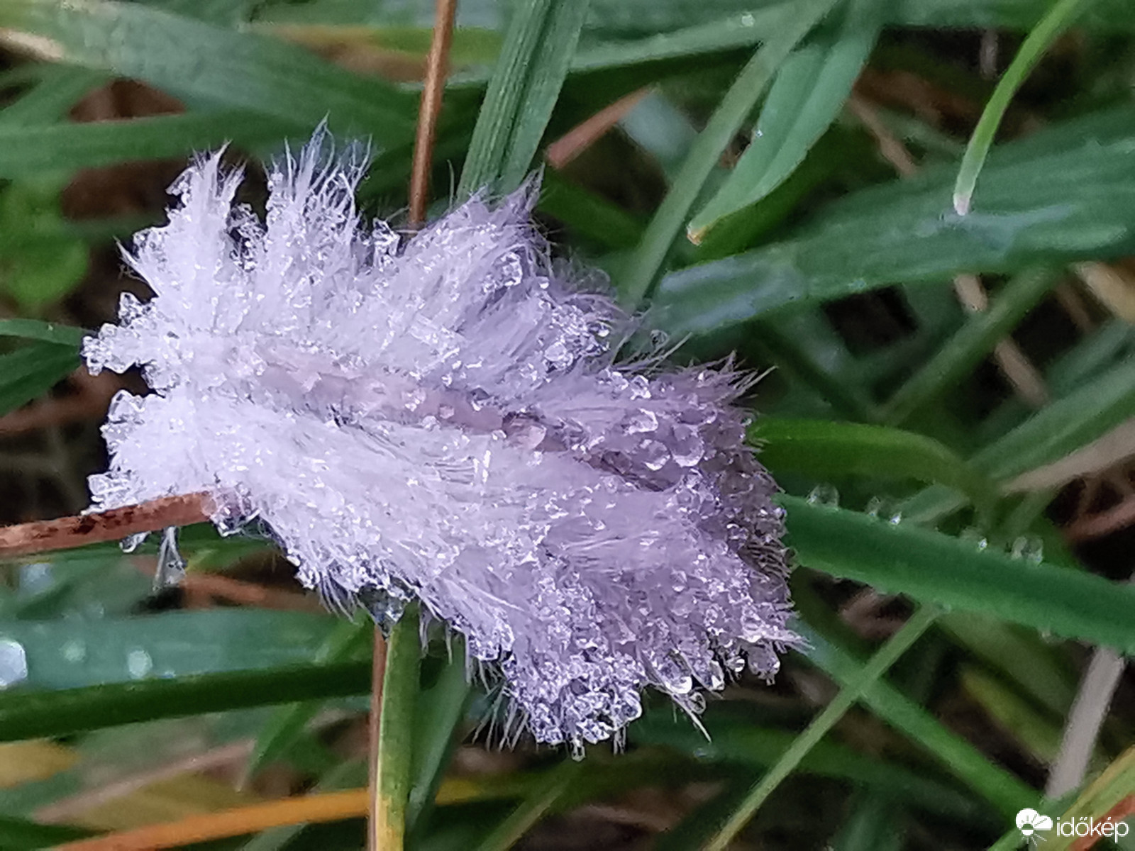 Jeges cseppes...
