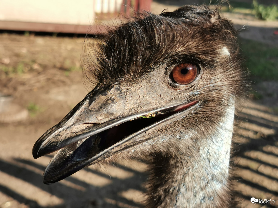 Hello! Struccos szép napot! :)