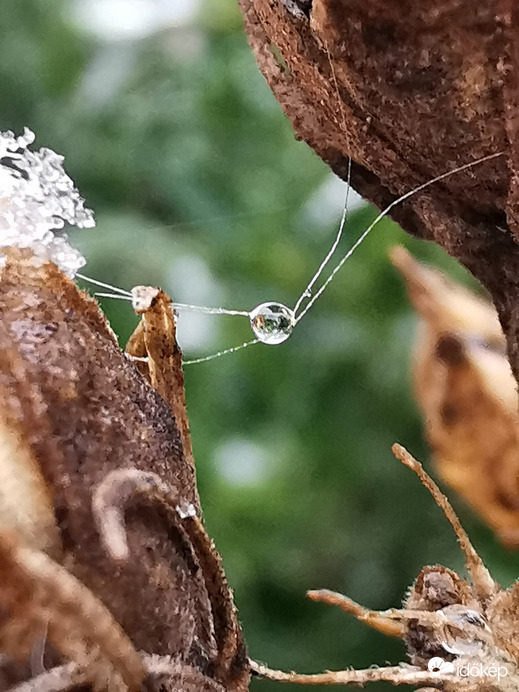 Egy csepp, ami összeköt...