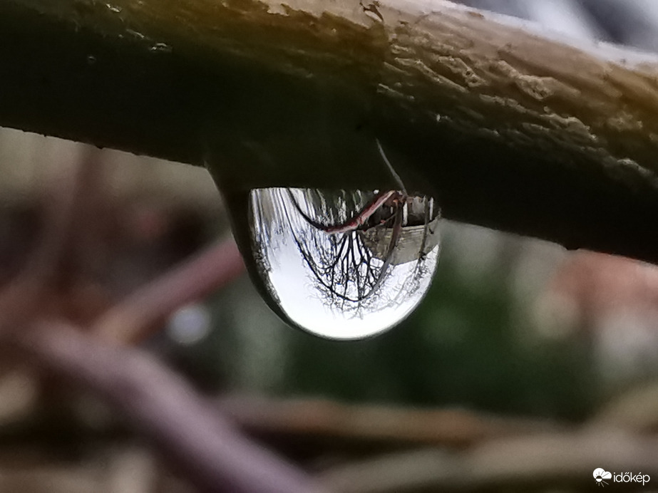 Fejreállt világ...