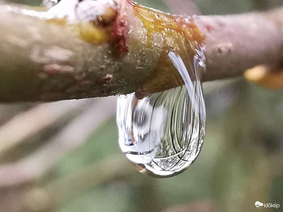 Még egy csepp...