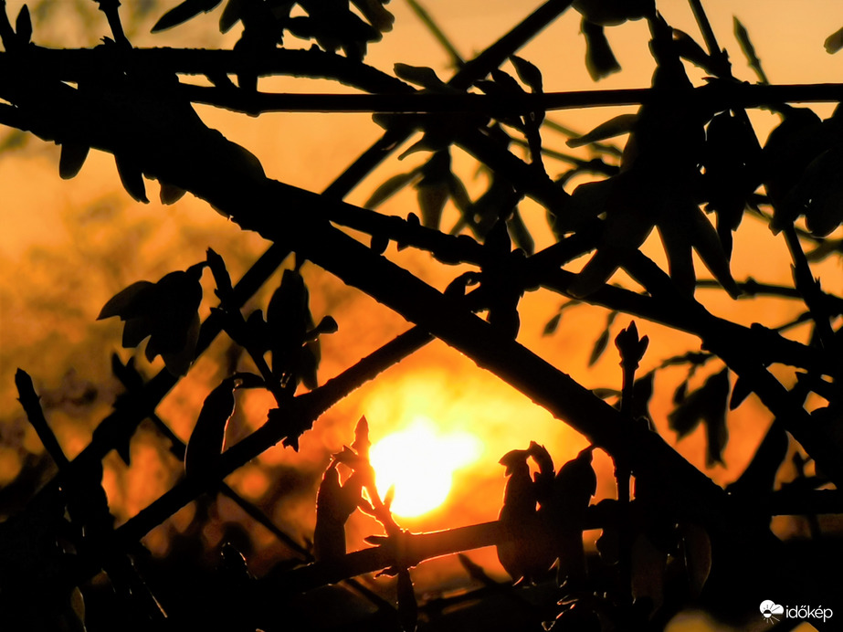 Aranyesős naplemente...