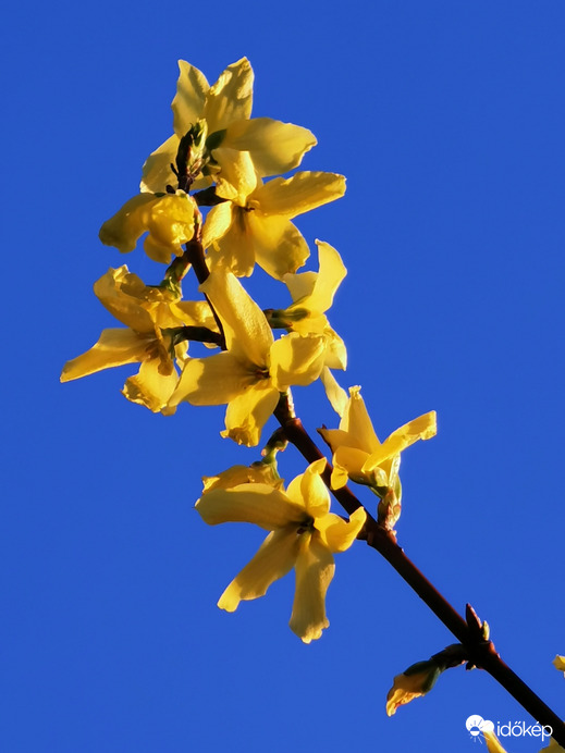 A lemenő nap fényében...