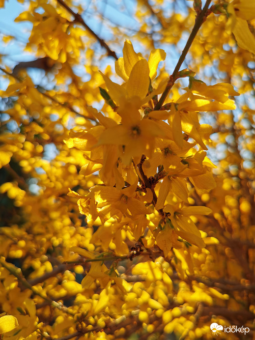 A lemenő nap fényében...